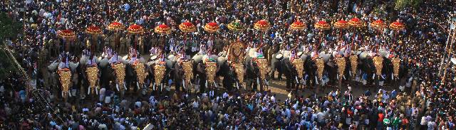 Elephant Pageantry, Thrissur Pooram
