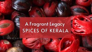A Fragrant Legacy - Spices of Kerala