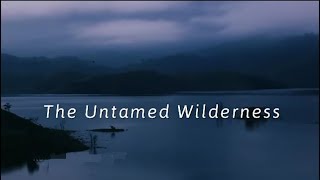 The Untamed Wilderness