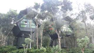 Click here to view the details of Changathi resorts and tree houses