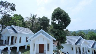 Click here to view the details of Bambusa Cottages