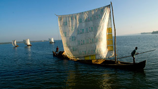 A backwater flotilla
