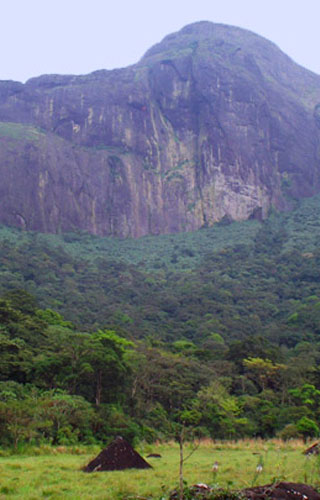 Agasthyakoodam Peak in Kerala