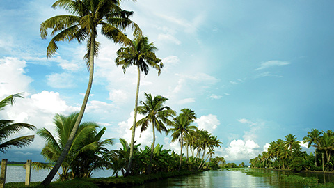 Alappuzha