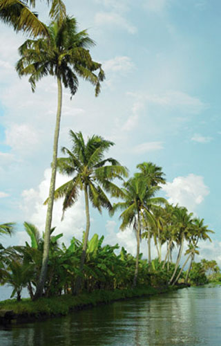 Alappuzha