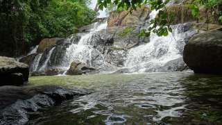 Aruvikkuzhi Waterfalls, Kottayam