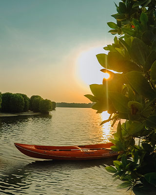 Backwater