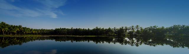 Backwaters of Alappuzha  