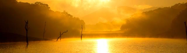 Golden rays at Periyar Lake
