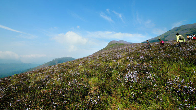 Hill Station