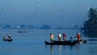 It is all about serenity