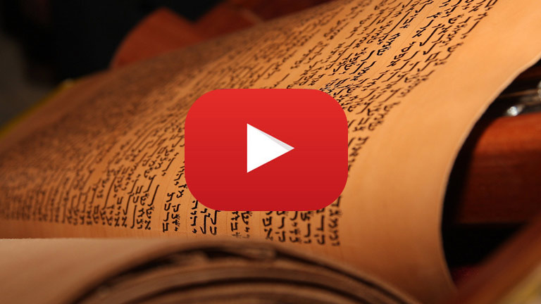 Video Gallery