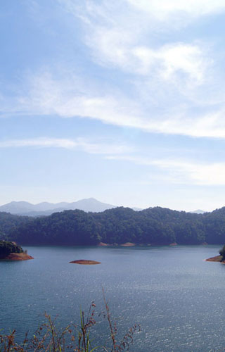 Kakki dam in Pathanamthitta