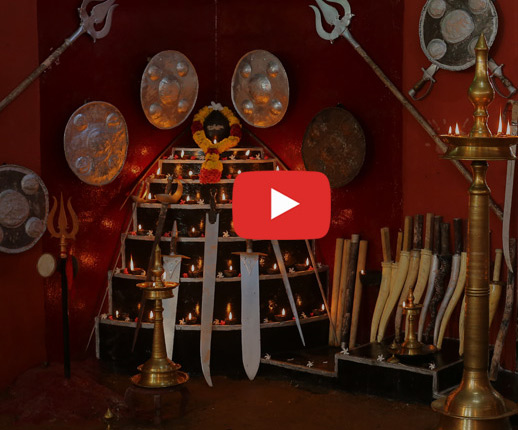 Video Gallery