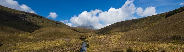 Kannan Devan Hills, Eravikulam 
