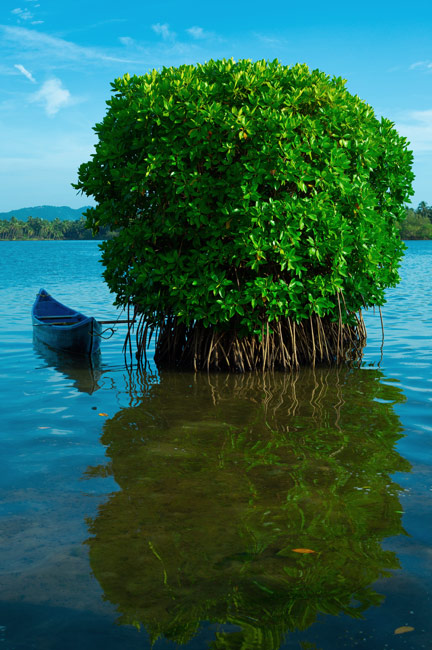 കവ്വായി കായല്‍