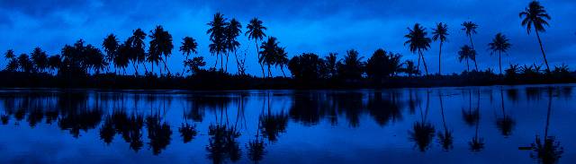 Kumarakom Backwaters 