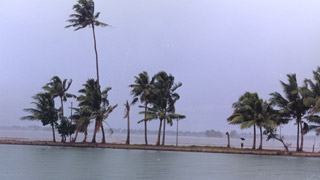 Kuttanad - a labyrinth of backwater