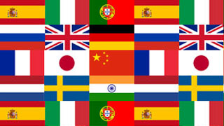 How to get other language versions of website?