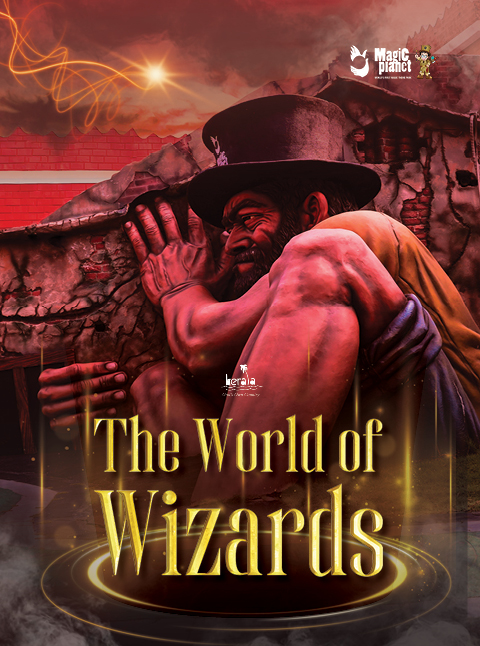 The World of Wizards