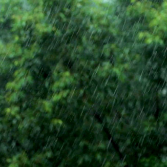 Monsoon