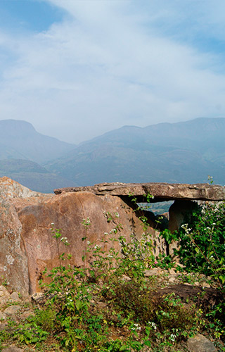 Muniyara in Marayoor