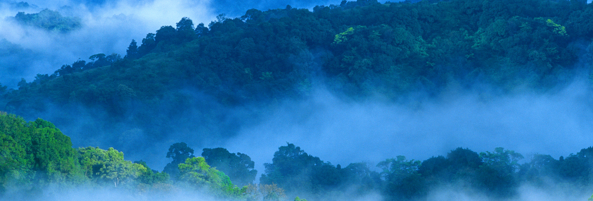 Hill Station