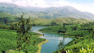 Munnar in Idukki
