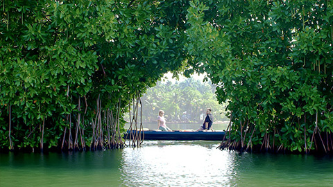 Munroe Insel in Kollam