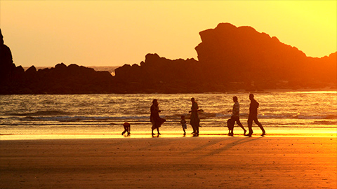 Playa de Muzhappilangad