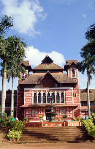 Napier Museum
