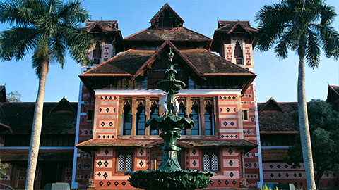 Napier Museum