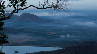 Nelliyampathy hills