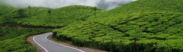 On the way to Munnar