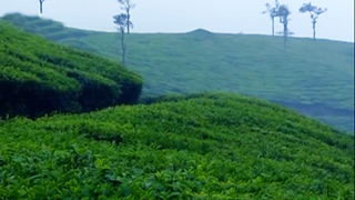 Peeru Hills in Idukki