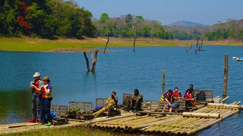 પેરિયર ટાઇગર રીઝર્વ