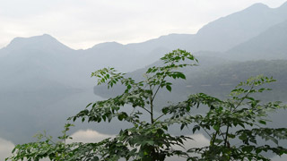 Pothamedu, Idukki