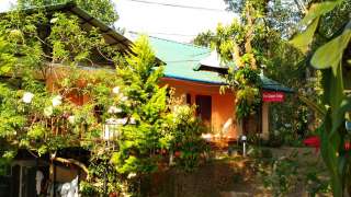 Click here to view the details of Green Dale