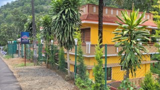 Click here to view the details of ALLORA