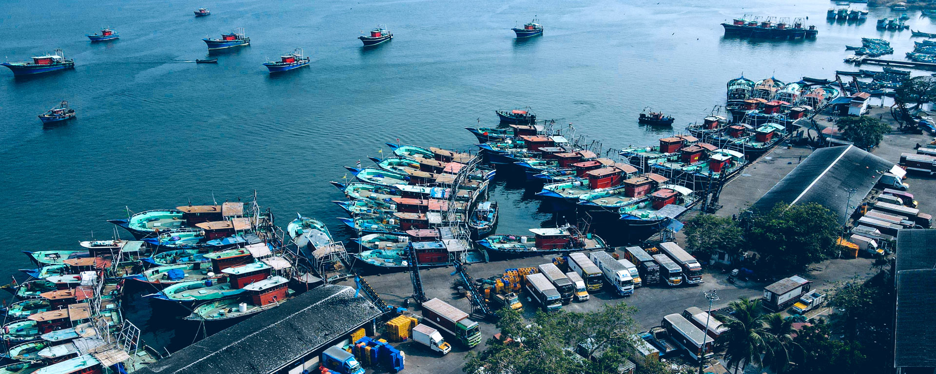 Responsible Tourism Mission