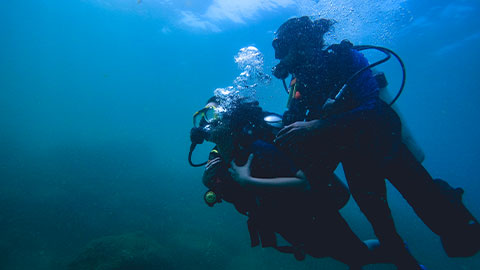 Scuba Diving