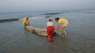 Setting out for the day's catch