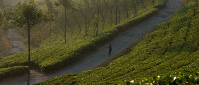 Idukki