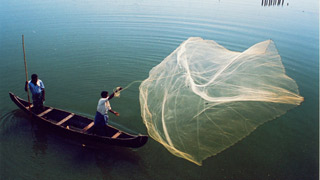 The backwater stretches of Kerala