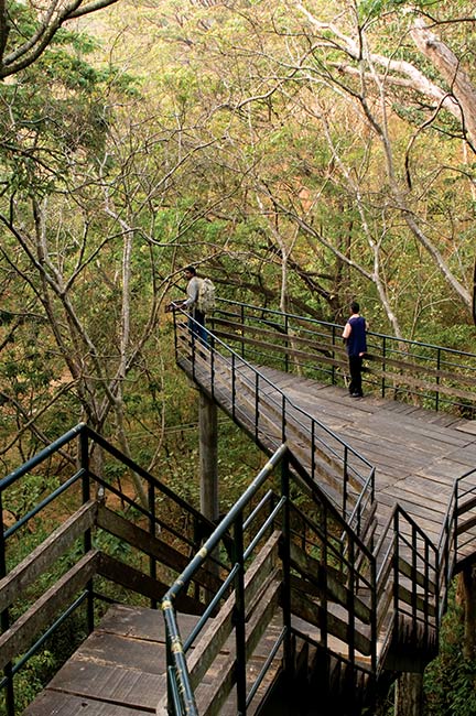 Ecoturismo en Thenmala