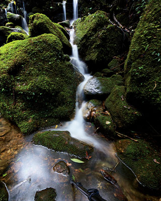 Waterfalls