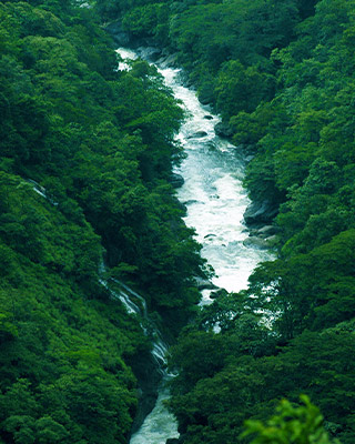 waterfalls