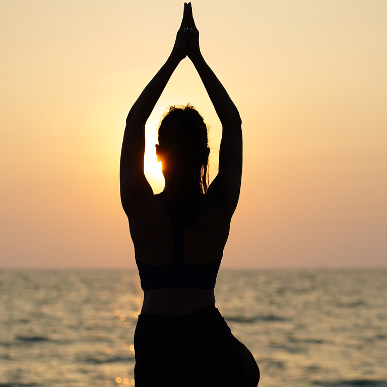 Classical Schools of Yoga