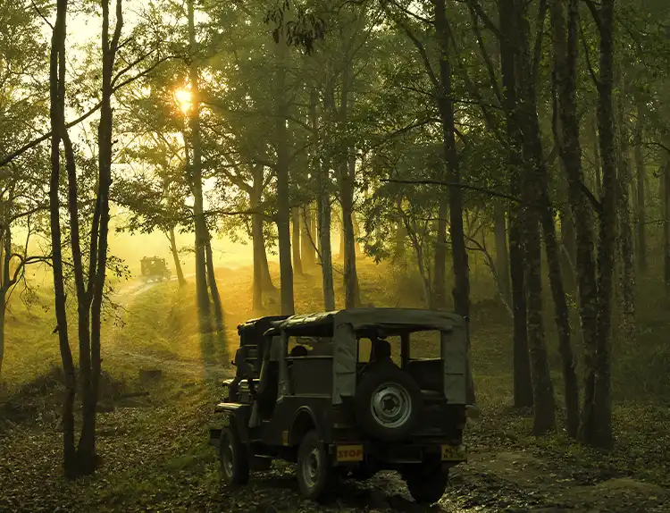 Wayanad